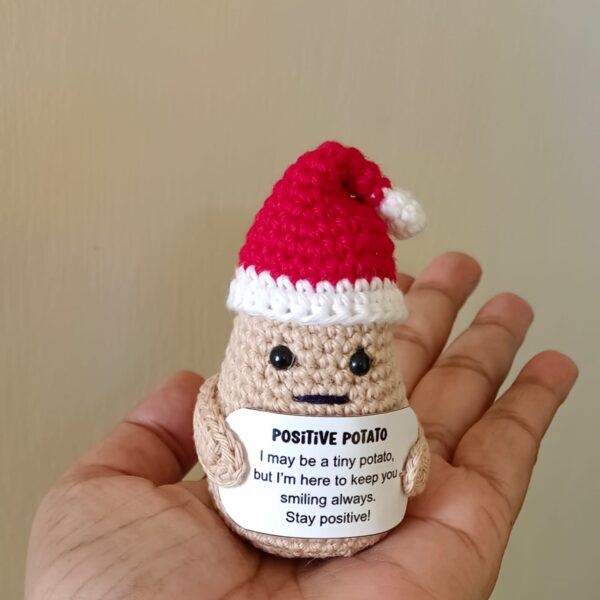 Positive Potato with Santa Hat in India