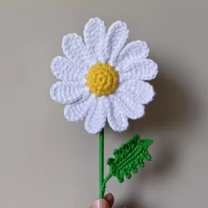 Crochet-Forever-Daisy-Flower-in-India
