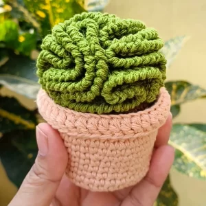 Handmade-Plant-for-Desk-in-India