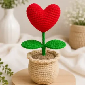 crochet heart pot for desk in india