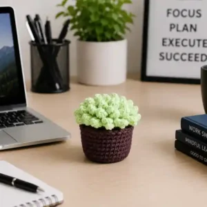 crochet tiny plant pot for desk in india