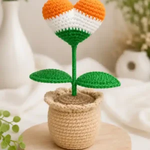 crochet tiranga heart pot for desk in india